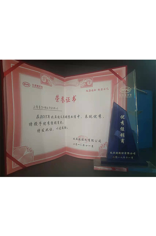 崇明区比亚迪2018优秀经销商